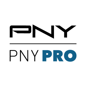 PNY-PRO-Logo-Black